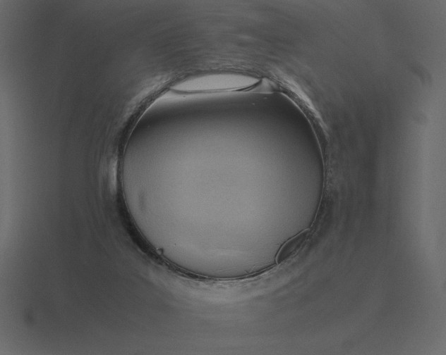 X0000116620019200912241802