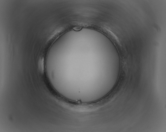 X0000116620020200912241802