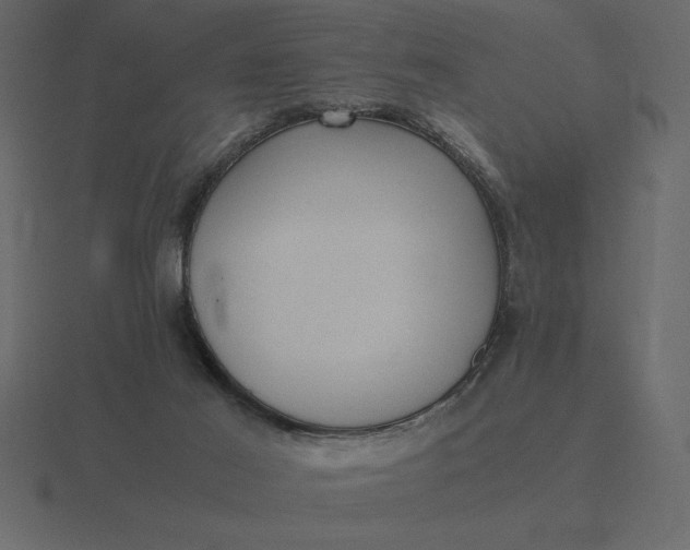 X0000116620021200912241802