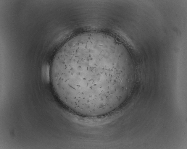 X0000116620022200912241802