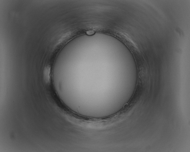 X0000116620024200912241802