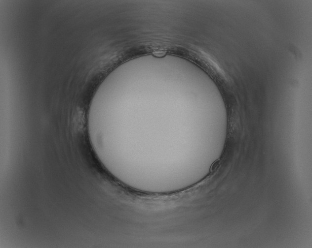 X0000116620025200912241802