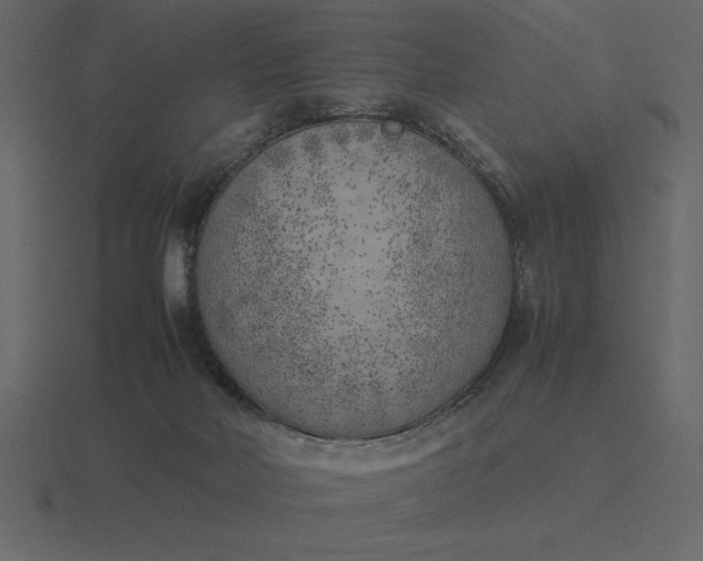 X0000116620026200912241802