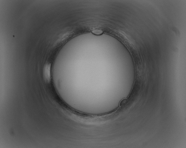 X0000116620028200912241801