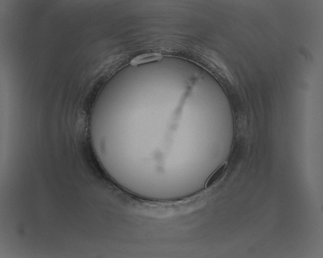 X0000116620029200912241801