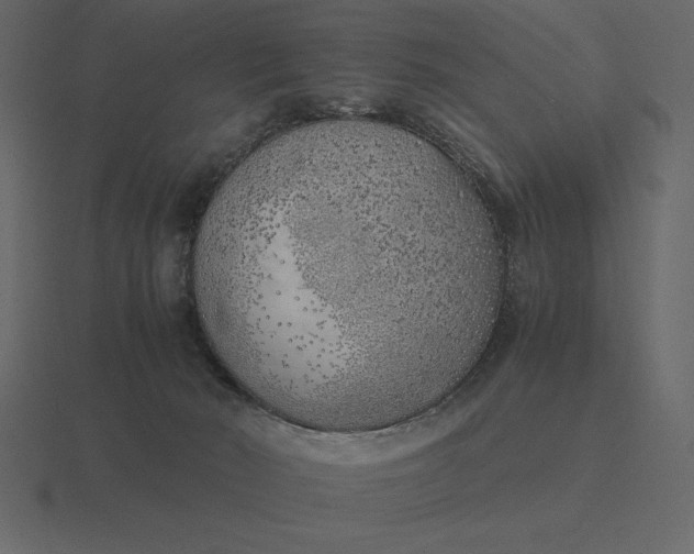 X0000116620030200912241801