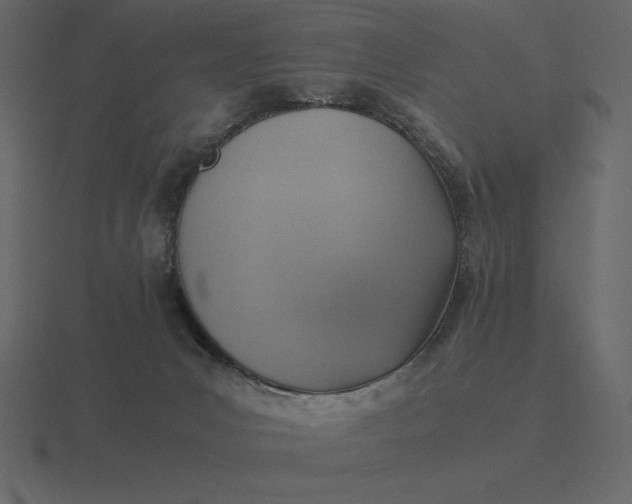 X0000116620031200912241801