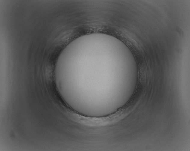 X0000116620034200912241801