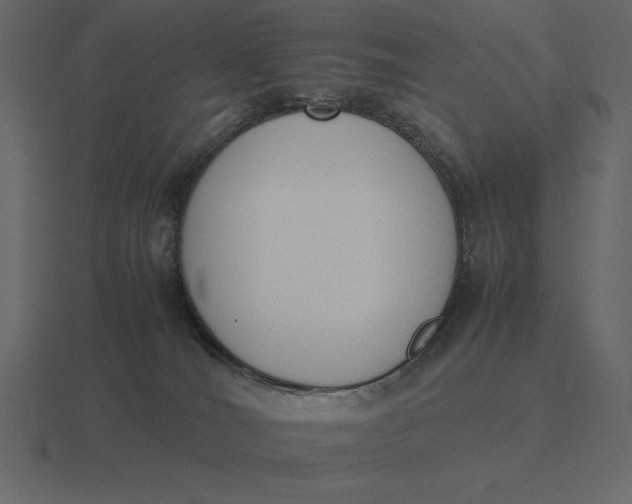 X0000116620036200912241801