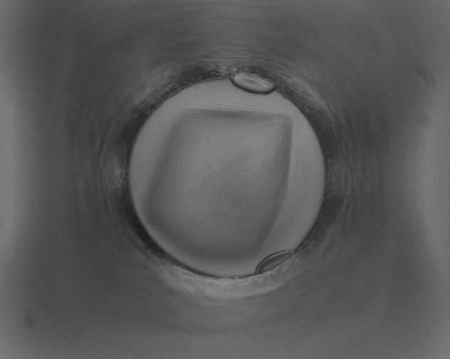 X0000116620039200912241801