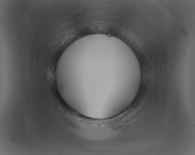 X0000116620040200912241801