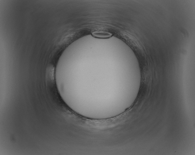 X0000116620041200912241801