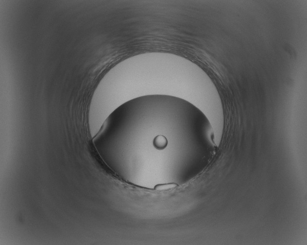 X0000116620043200912241801