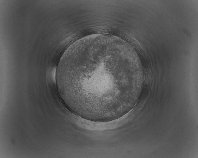 X0000116620047200912241801