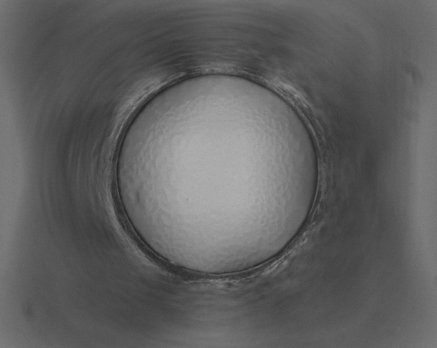 X0000116620049200912241801