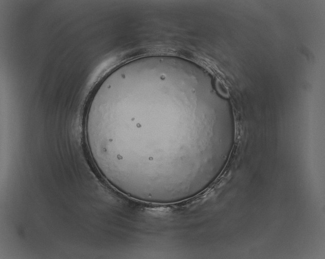 X0000116620053200912241801