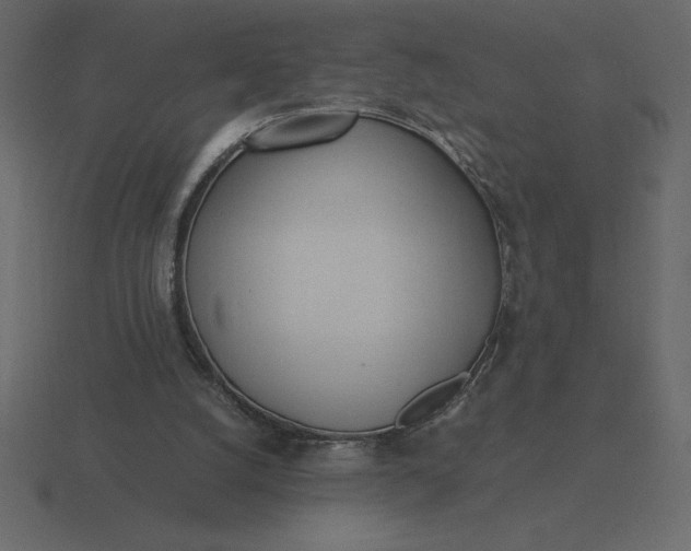 X0000116620056200912241801