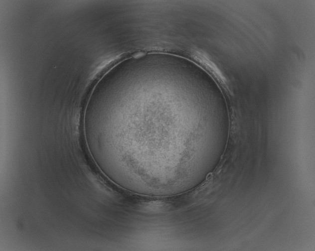 X0000116620058200912241801