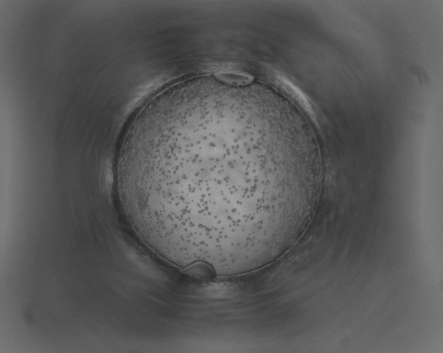 X0000116620059200912241801