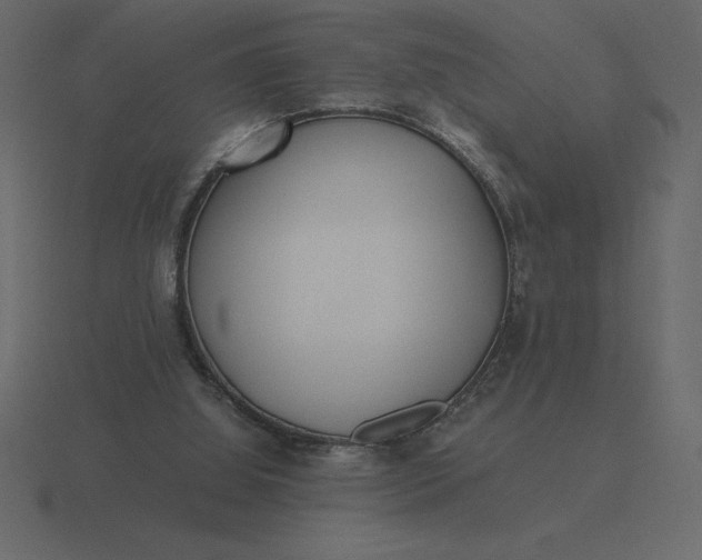 X0000116620060200912241801