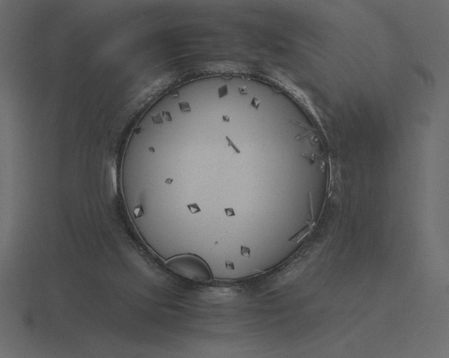 X0000116620061200912241801