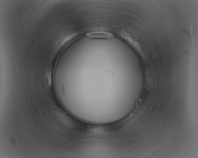 X0000116620062200912241801