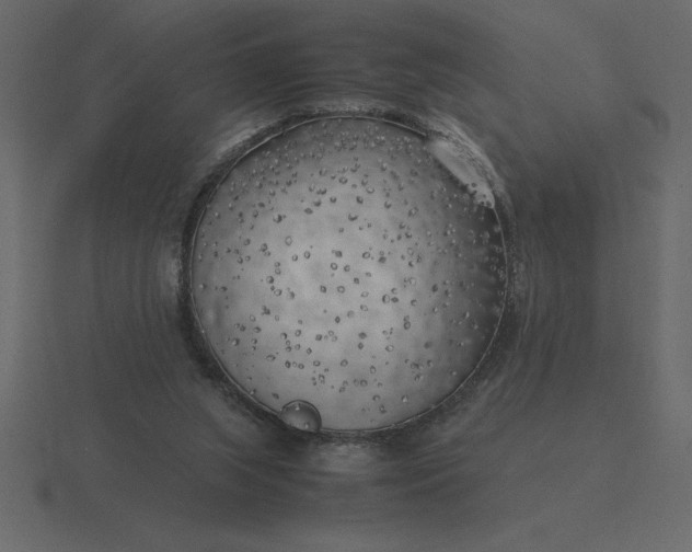 X0000116620063200912241801