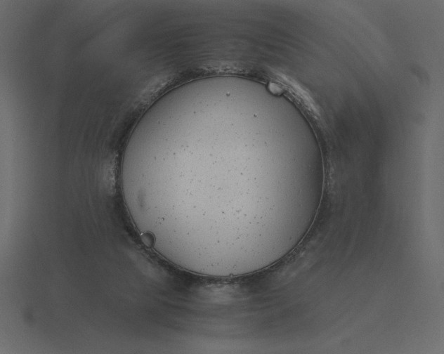 X0000116620065200912241801