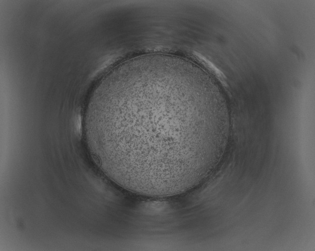 X0000116620067200912241801