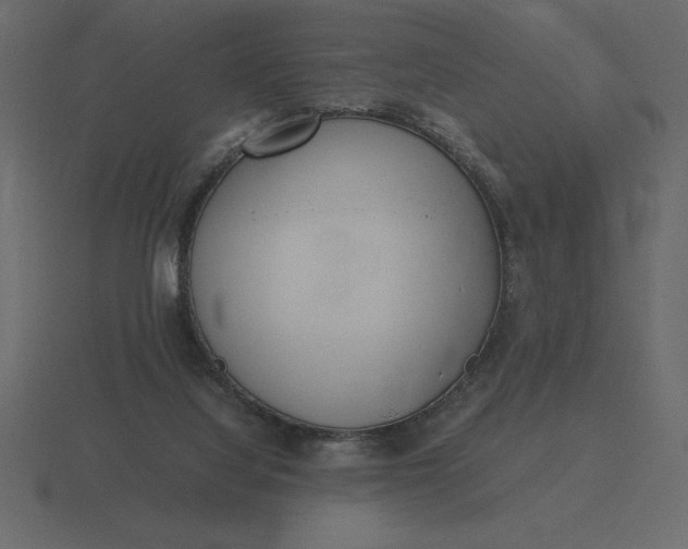 X0000116620068200912241801