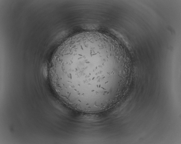 X0000116620069200912241801