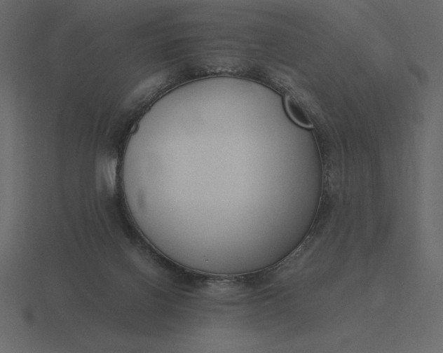 X0000116620070200912241801