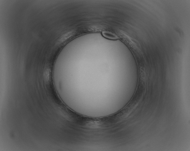 X0000116620071200912241801