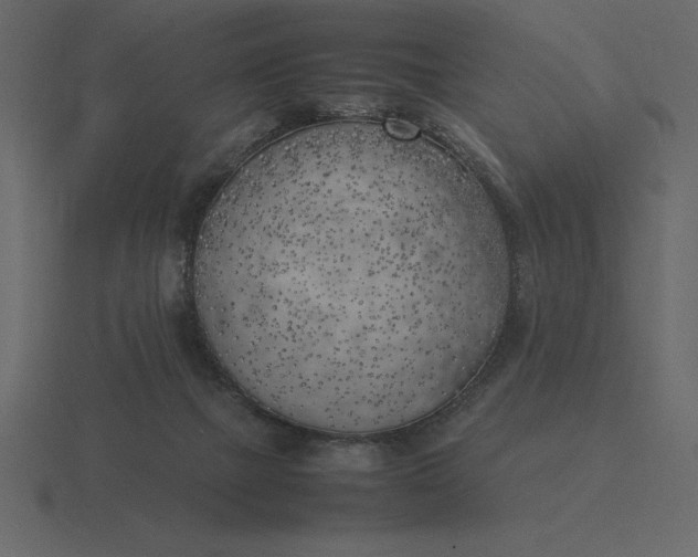 X0000116620073200912241801