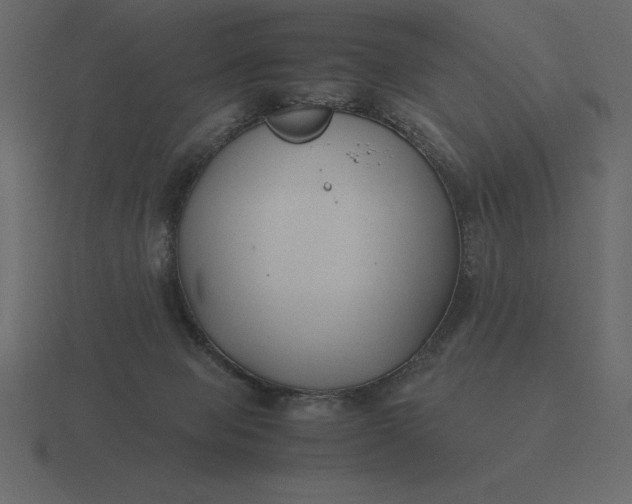 X0000116620077200912241801