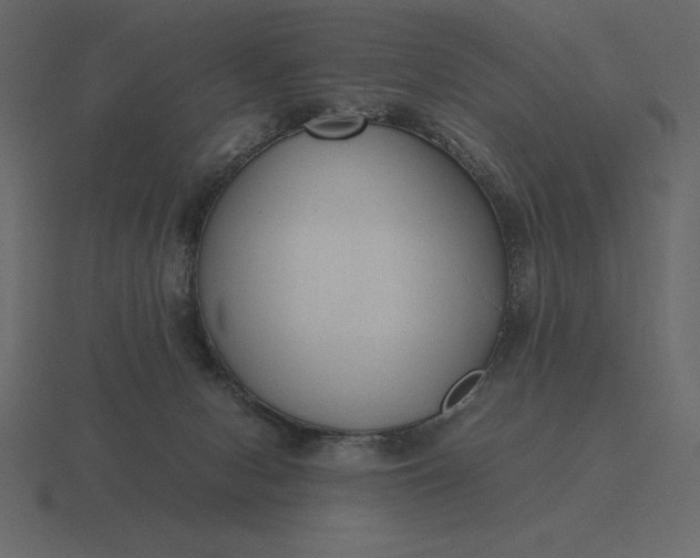 X0000116620078200912241801