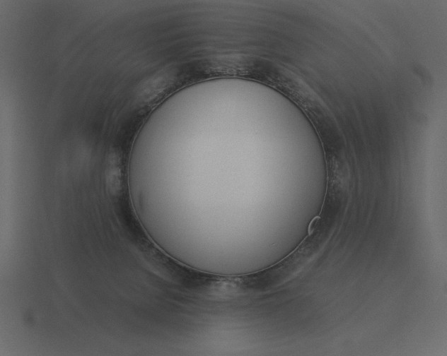 X0000116620080200912241801