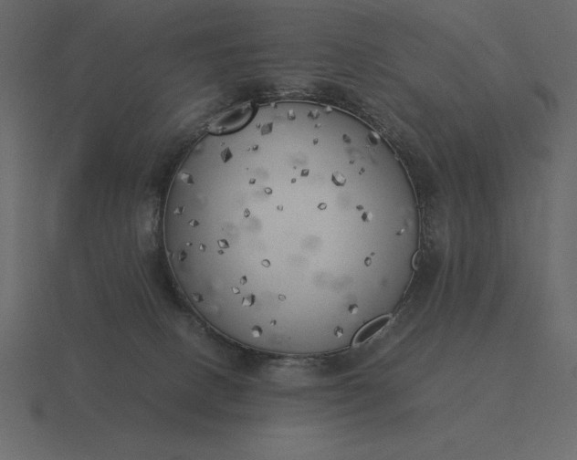 X0000116620082200912241801