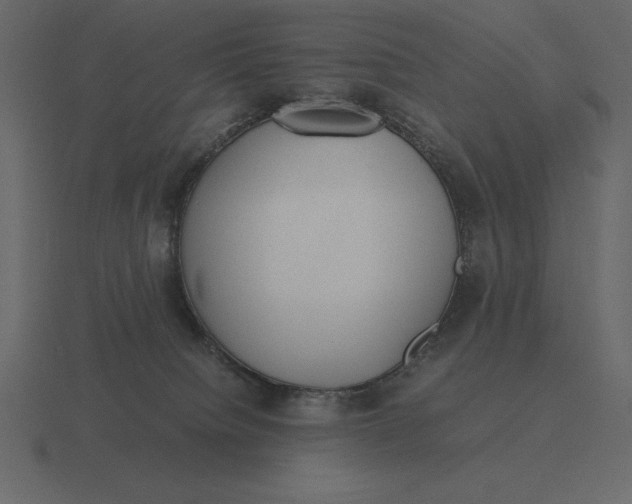 X0000116620084200912241801