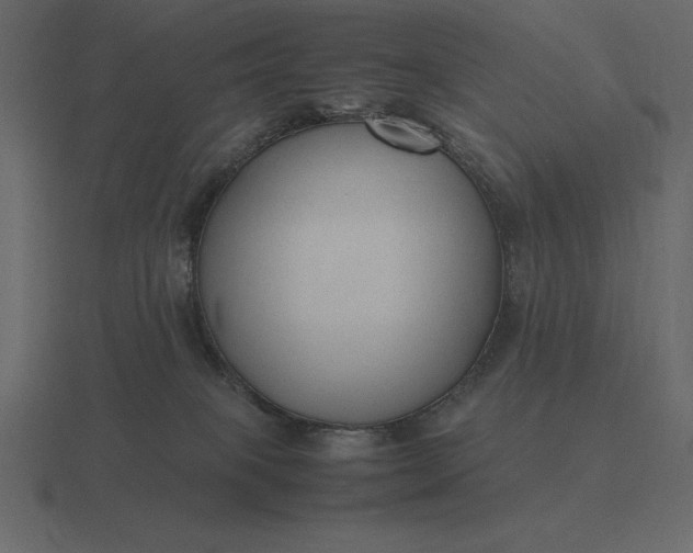 X0000116620085200912241801