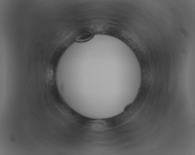 X0000116620087200912241801