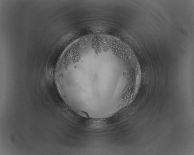 X0000116620093200912241801