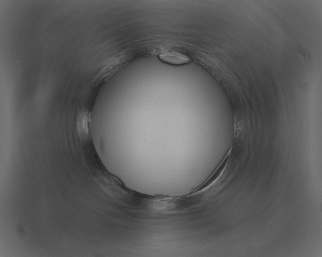 X0000116620094200912241801