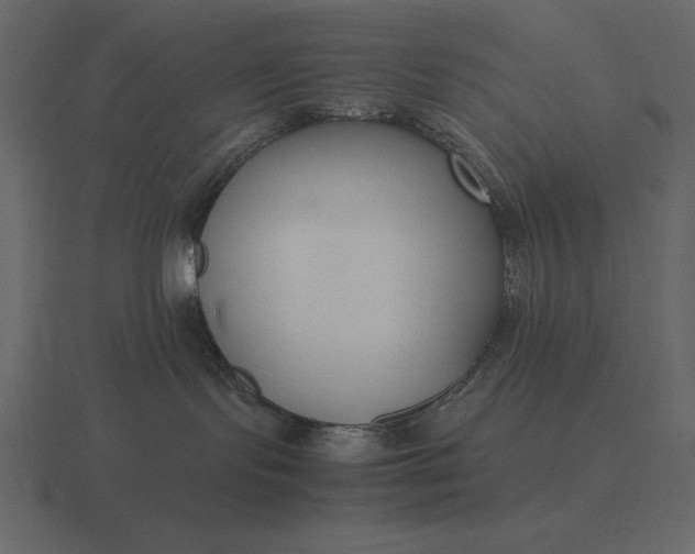 X0000116620095200912241801