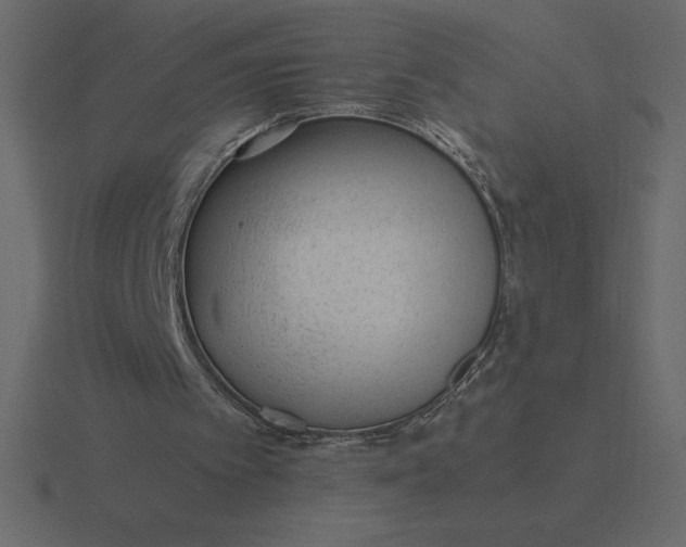 X0000116620097200912241801