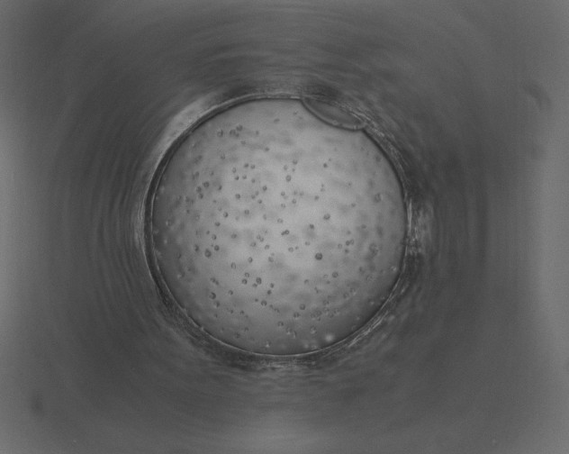 X0000116620099200912241801