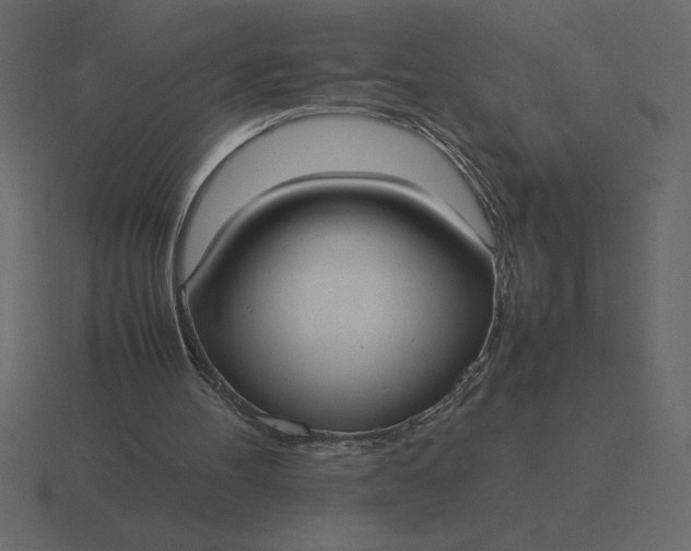 X0000116620100200912241801