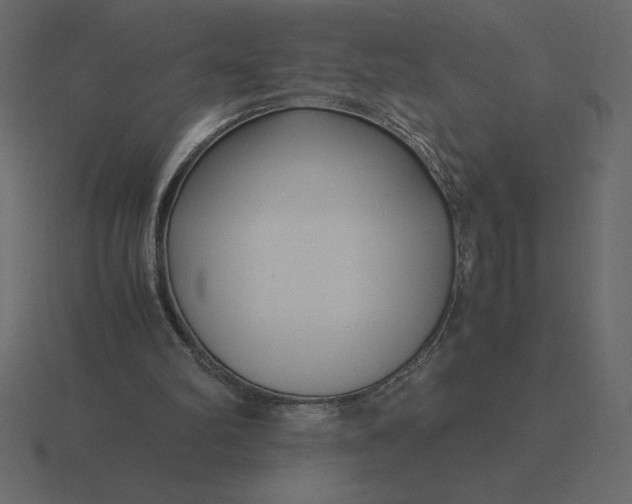 X0000116620102200912241801