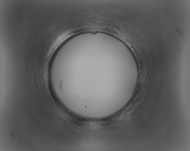 X0000116620103200912241801