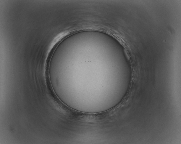 X0000116620104200912241801